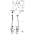 Tres Tres Clasic, Thermostat-Brausebatterie, Edelstahloptik
