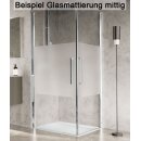 ESG Glasmattierung mittig