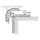 HSK Eckprofil außen rund, 23x23mm, Höhe 2550mm...
