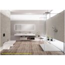 Schröder Rechteckduschwanne Slatestone H E 100x75 cm
